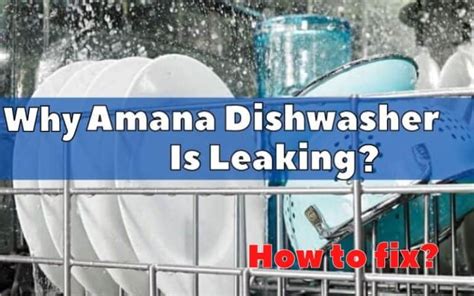 amana dishwasher leaking|Dishwasher Troubleshooting Guide